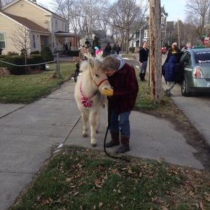 Meet your Posher, Lisa